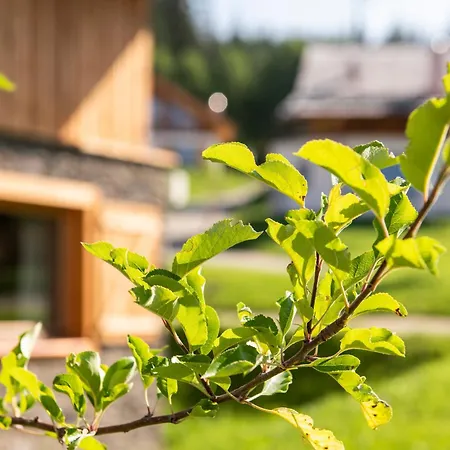 Lerchpeuntgut Almchalets Шале Тамсвег