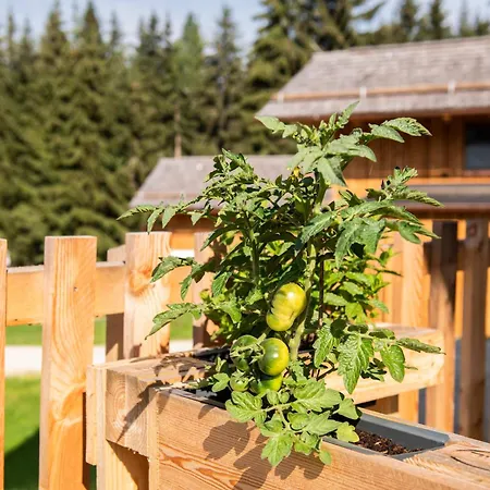 Lerchpeuntgut Almchalets *