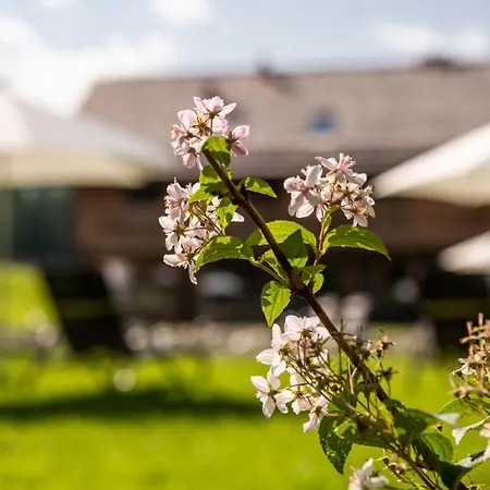 Lerchpeuntgut Almchalets