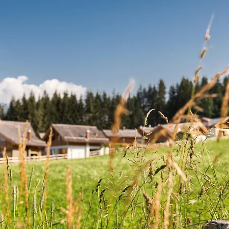 Lerchpeuntgut Almchalets Tamsweg