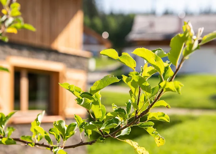 Lerchpeuntgut Almchalets Chalé Tamsweg