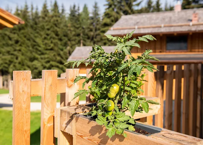 Lerchpeuntgut Almchalets *