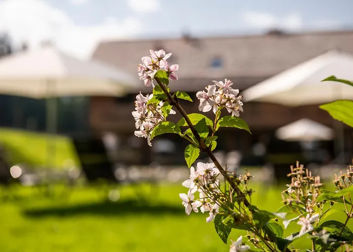 Lerchpeuntgut Almchalets