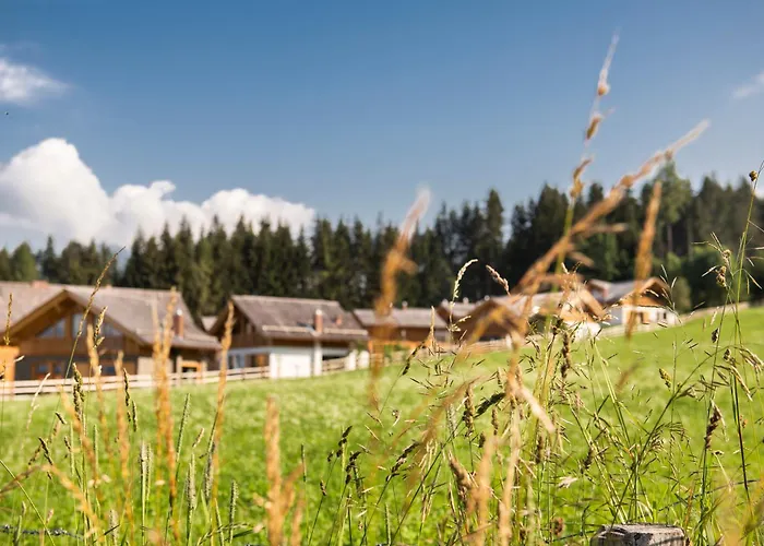 Lerchpeuntgut Almchalets Tamsweg